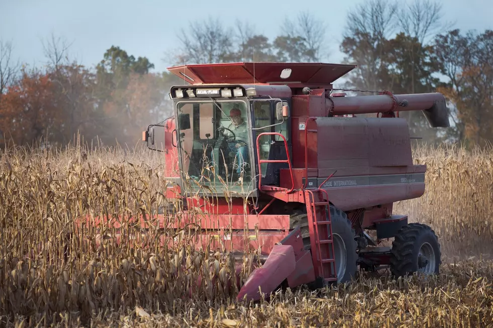 Snow Puts the Brakes on Fall Harvest in Central Minnesota