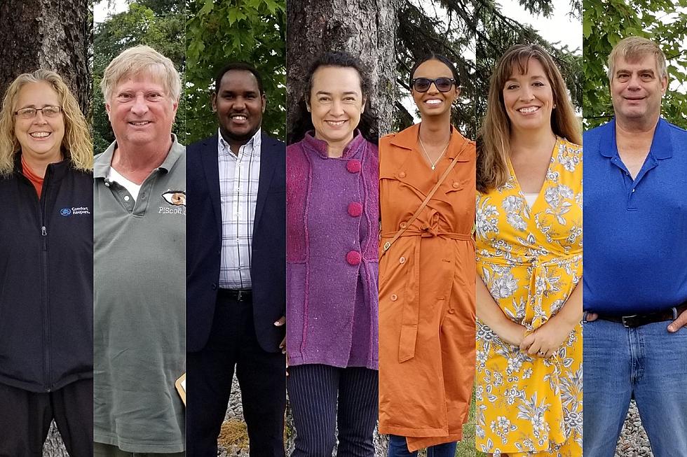 Election 2020: Seven Vying for Four St. Cloud School Board Seats