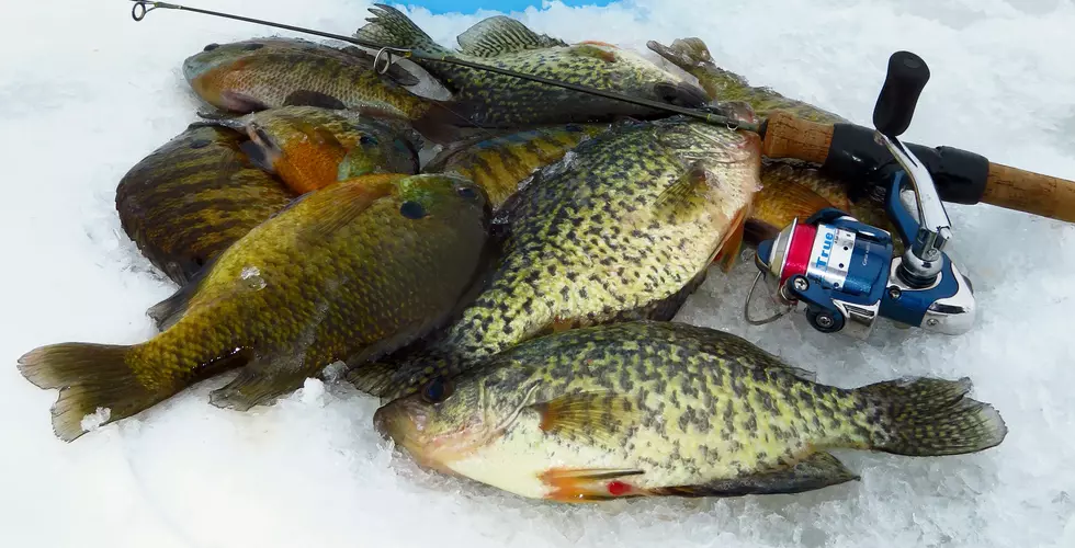 Ice Fishing the Dirty Dozen