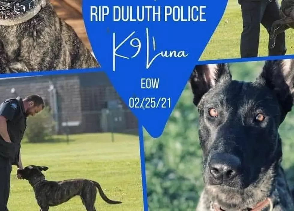 Suspect Who Shot Police Dog Refusing to Surrender in Duluth