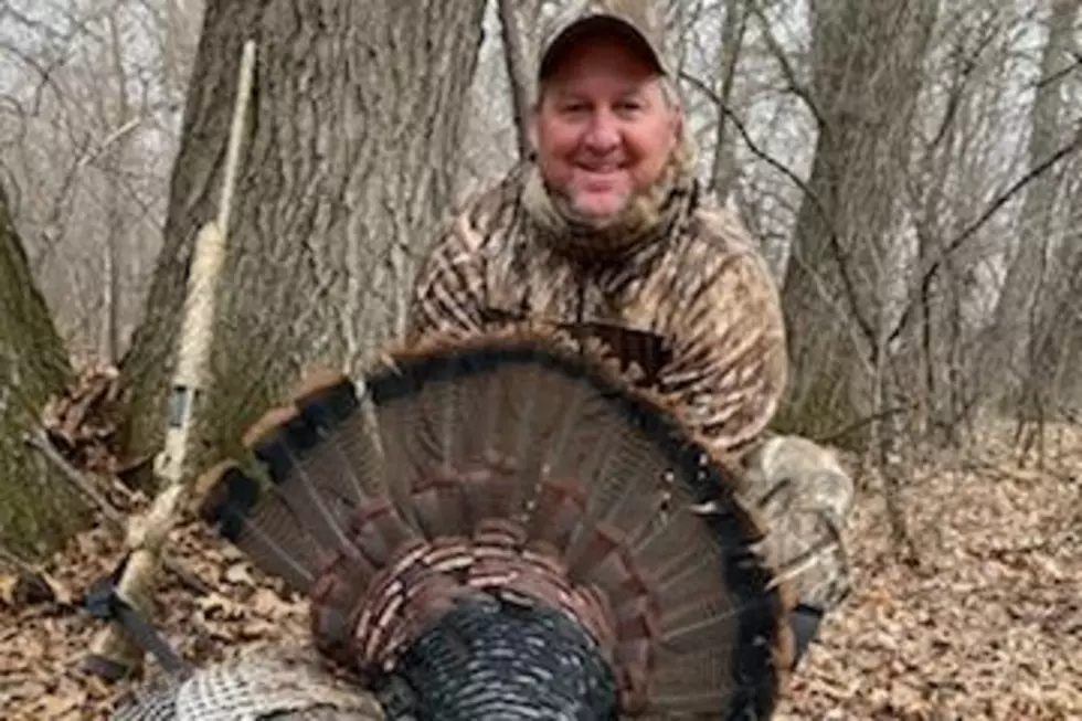 Less Turkey Hunters This Year [PODCAST]