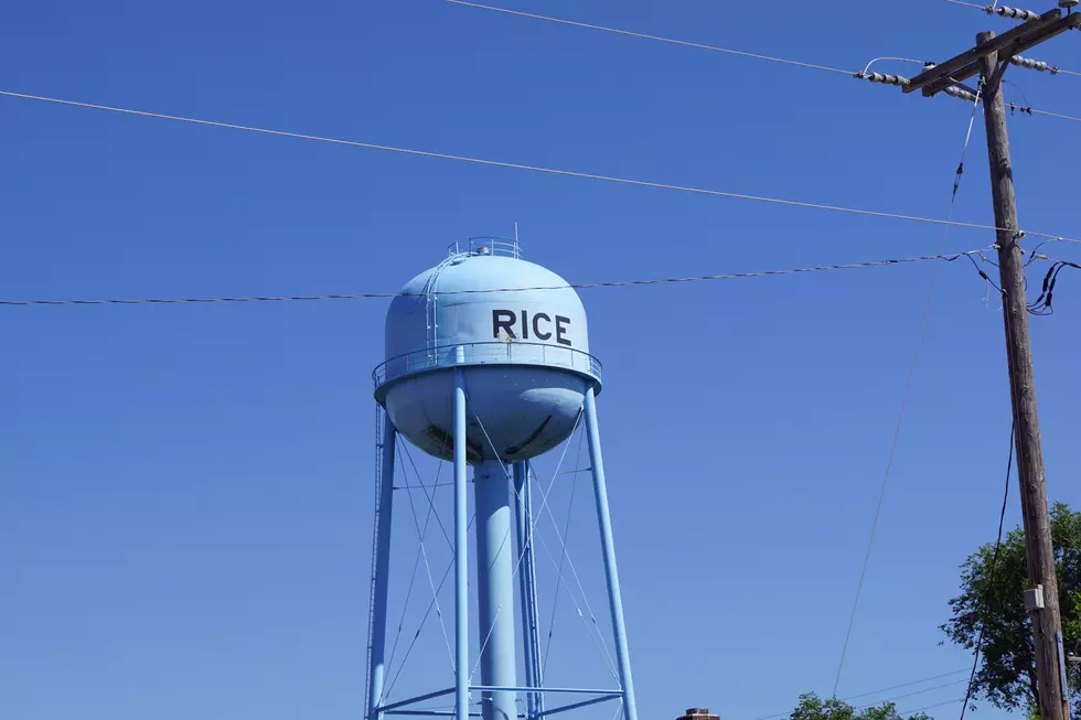 Rice Is Hosting Their Annual Family Fun Days Parade Saturday