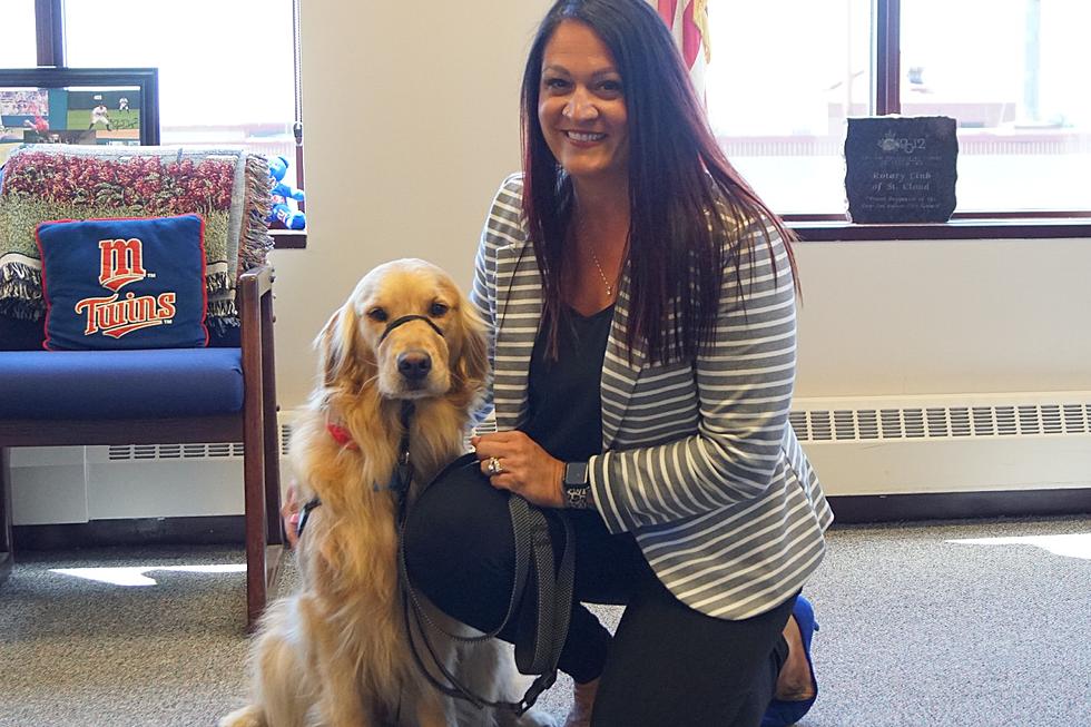 Stearns County Attorney’s Office Adds Victim Assistance Dog