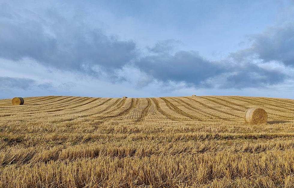 Central Minnesota Farmers Weathering Drought Conditions as Best They Can