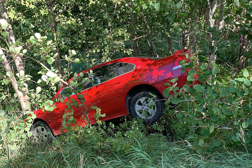 Grey Eagle Man Falls Asleep at the Wheel, Crashes Into Ditch