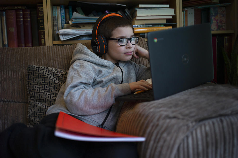 Online Public Schooling Growing in Popularity Prior to Pandemic