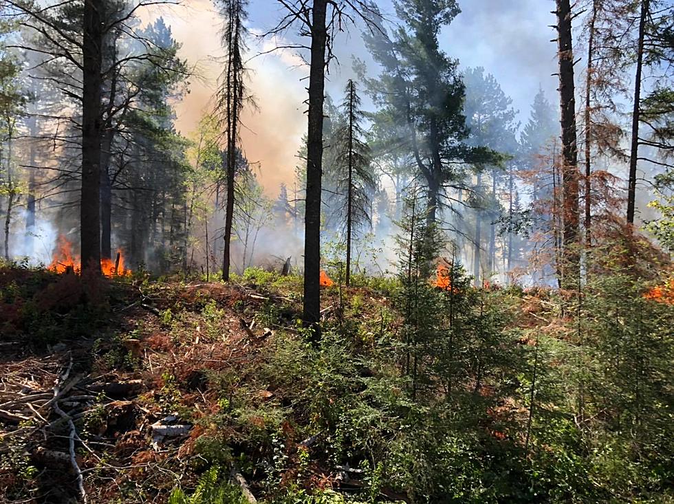 ‘Tinderbox Conditions’ Fuel Fire in Superior National Forest