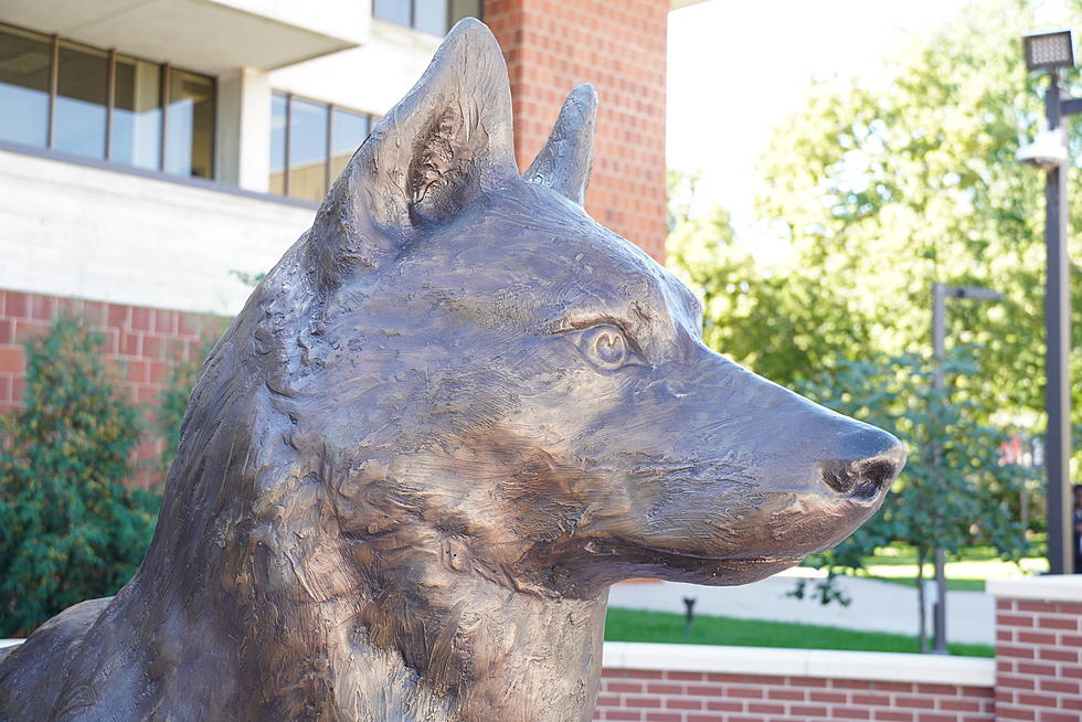 St. Cloud State Named &#8216;College of Distinction&#8217;