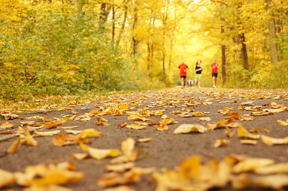 Wishbone 5K Running at St. Cloud Y on Thanksgiving Day