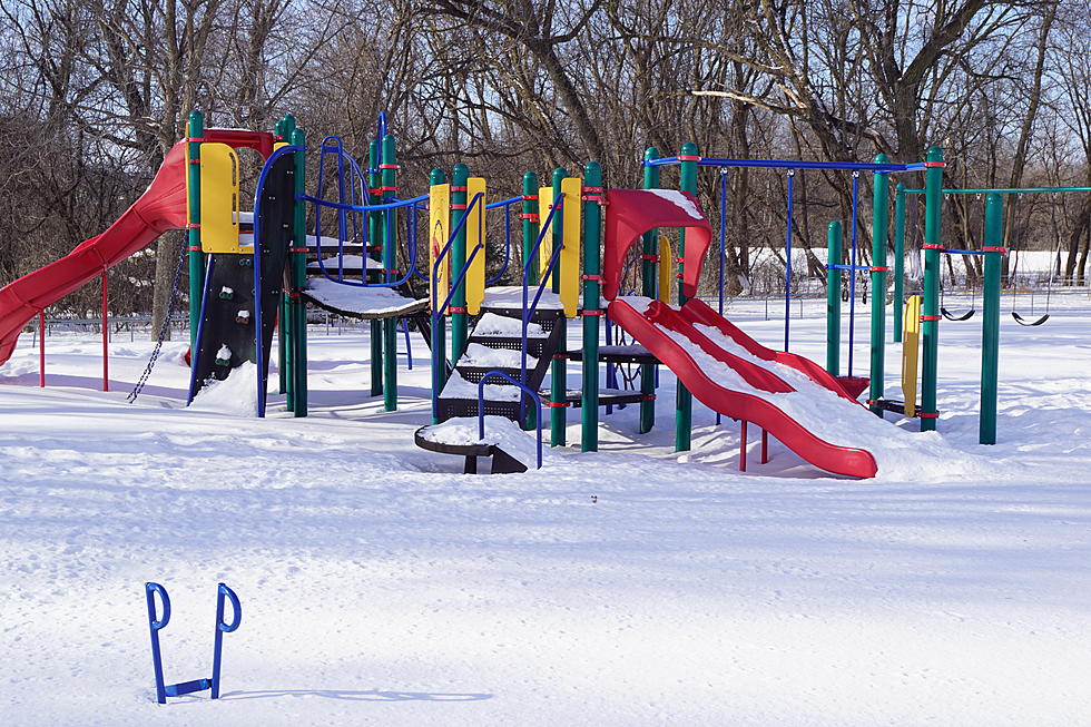 Area Lions Clubs Strive For All-Inclusive Playground in Sartell