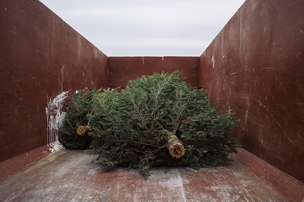 LeSauk Lions Collecting Christmas Trees in Sartell Saturday