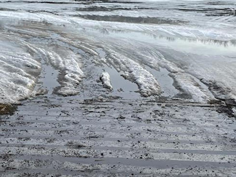 Lake Conditions Changing Quickly in Central Minnesota