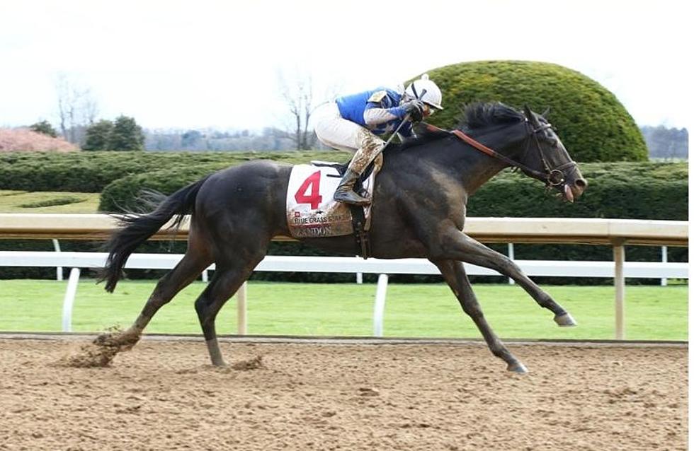 MN Couple Owns a Horse Headed to Kentucky Derby