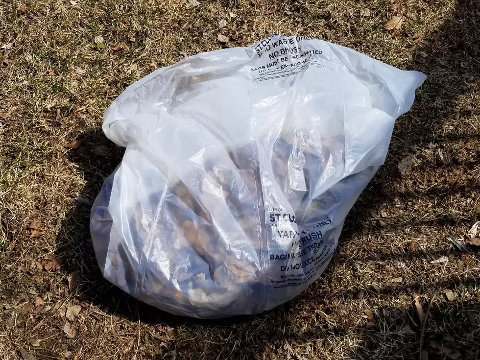 Yard Waste and Compost Guidelines for St. Cloud Residents