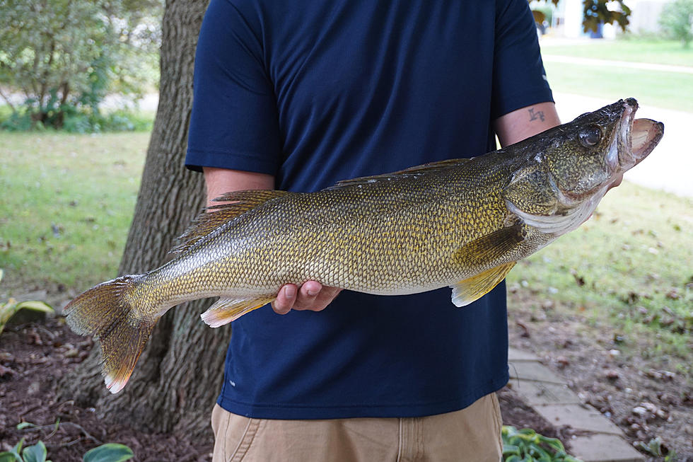 DNR Sets Upper Red Lake Open Water Walleye Bag Limit