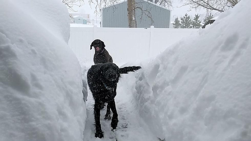 North Dakota Bracing for Another Major Winter Storm