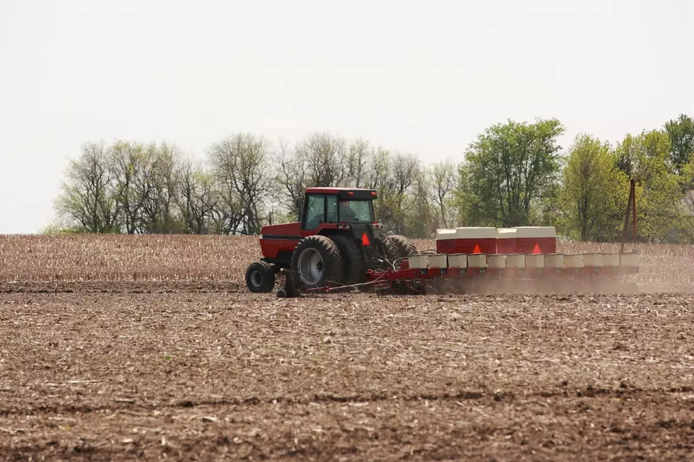 Farmers making slow progress this spring