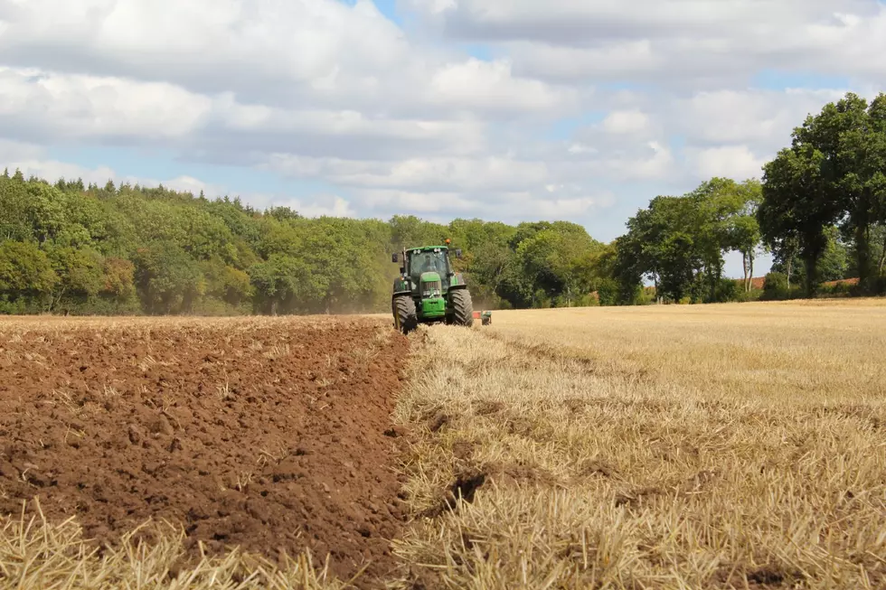 Farmers Pinched by Inflation