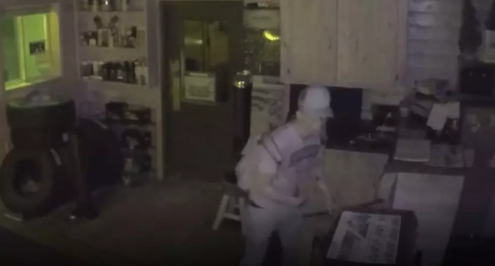 Morrison County Sheriff Searching for Burglary Suspect