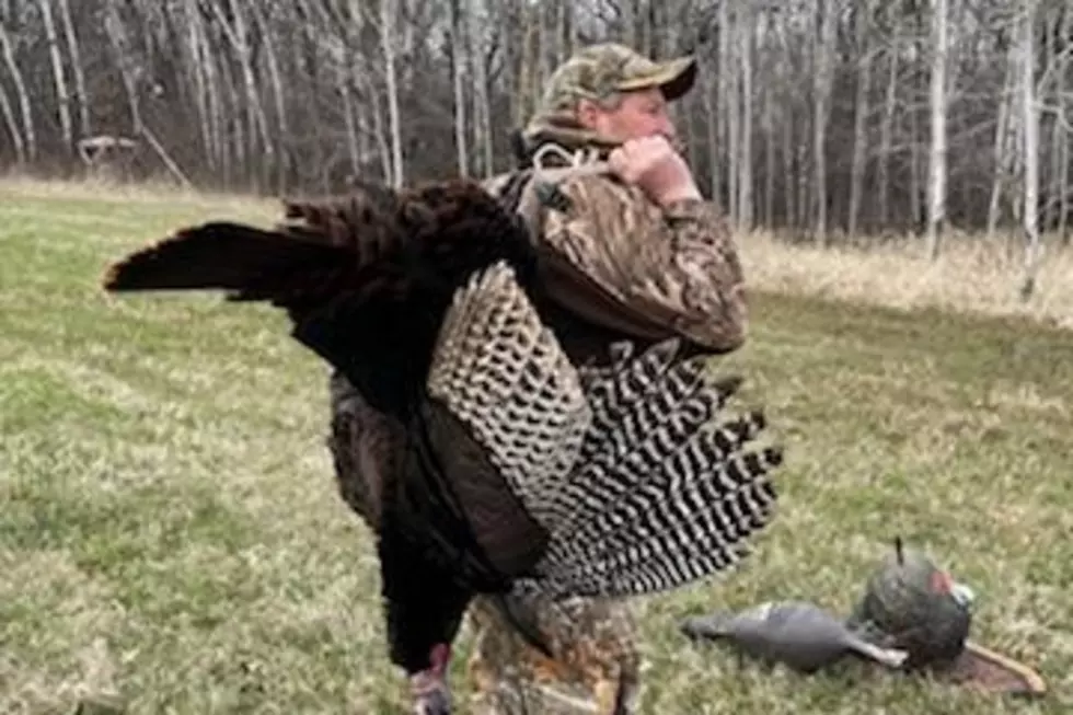 Record Breaking Turkey Hunt Numbers; Where to Catch Fish This Weekend