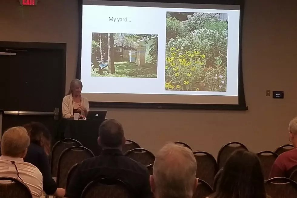 Beekeeper Convention in St. Cloud This Week