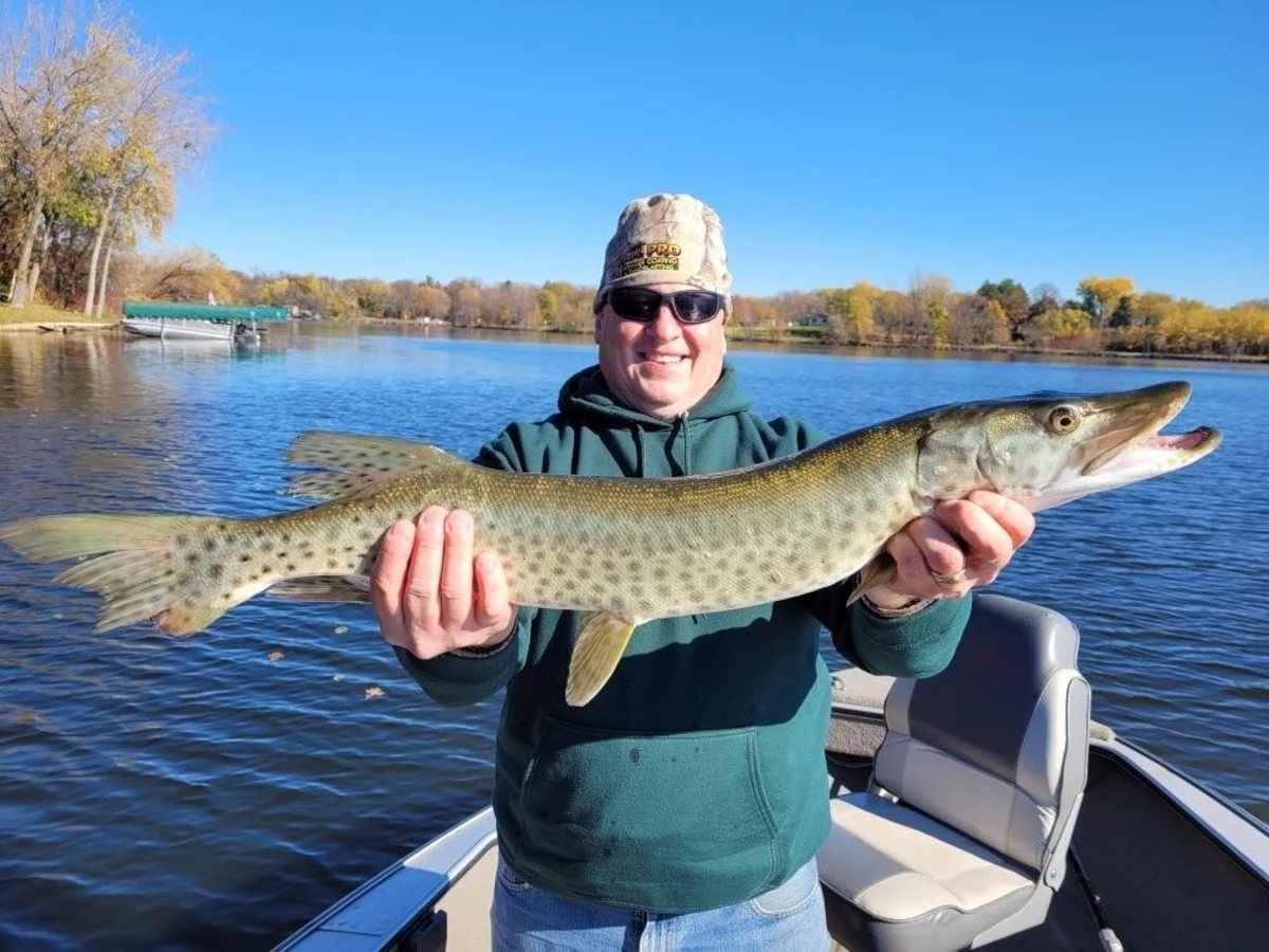 Mid July is a Good Time to Do Some Musky Fishing in Minnesota