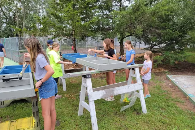 Local Girl Scout Troop Builds Dog Play Area for Humane Society