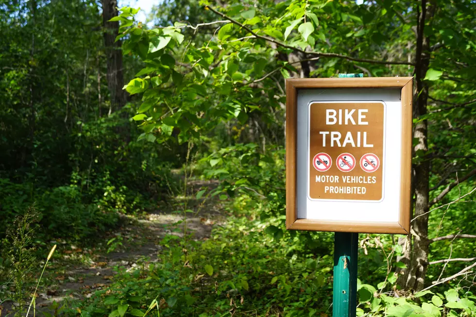 New Mountain Bike Trail in Sartell Nearly Finished