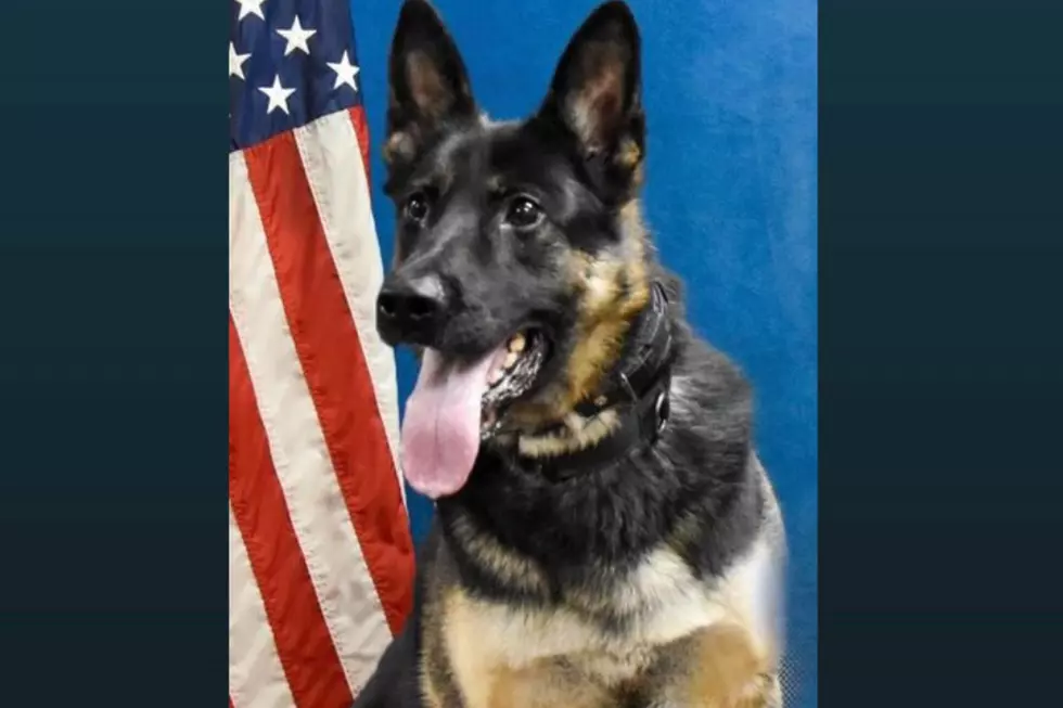Big Lake Police Dog Bruno Dies