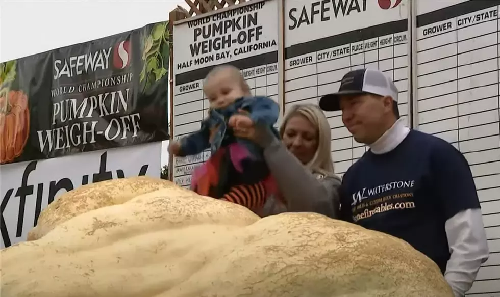 North America&#8217;s Largest Pumpkin In Foley Tuesday