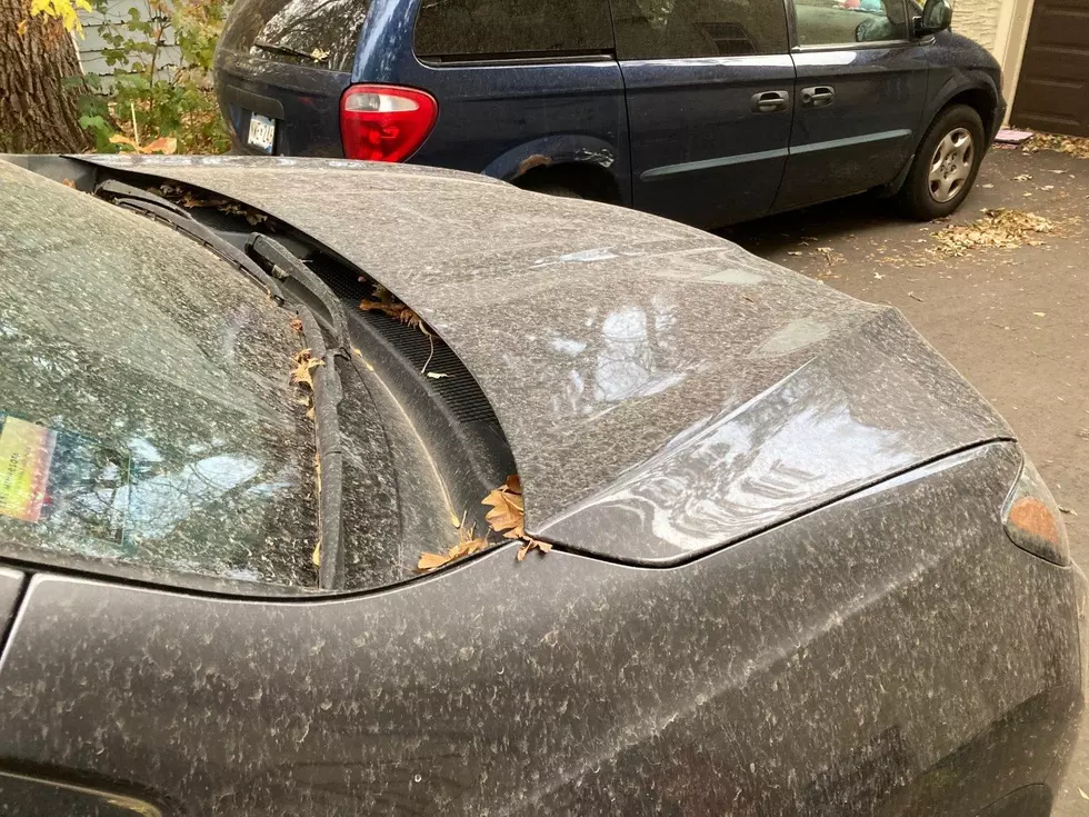 Filthy Vehicle this Morning? Here’s Why