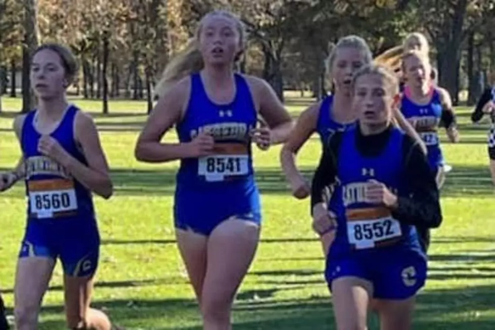 Cathedral Cross Country Shows Well at State Meet