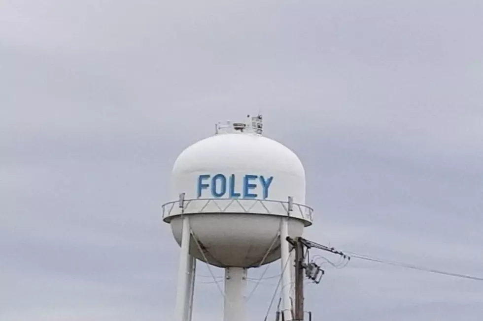From Lumber to County Seat; The Story of Foley