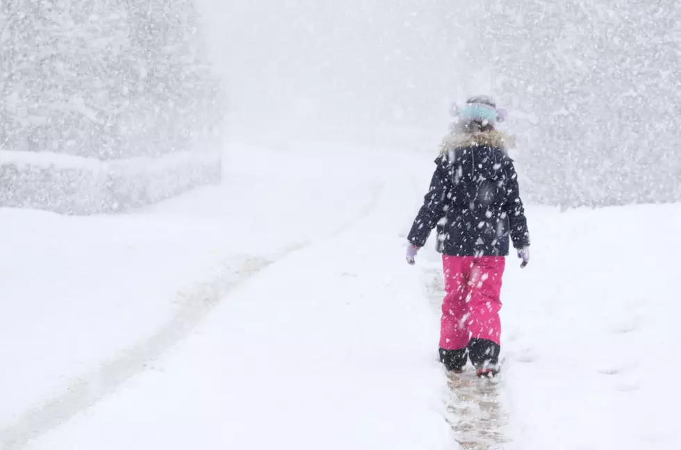 Winter Weather Advisory Issued for Southern Minnesota