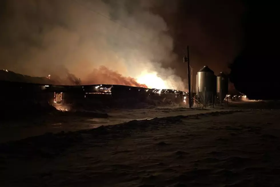 New Munich Turkey Barn Destroyed By Fire