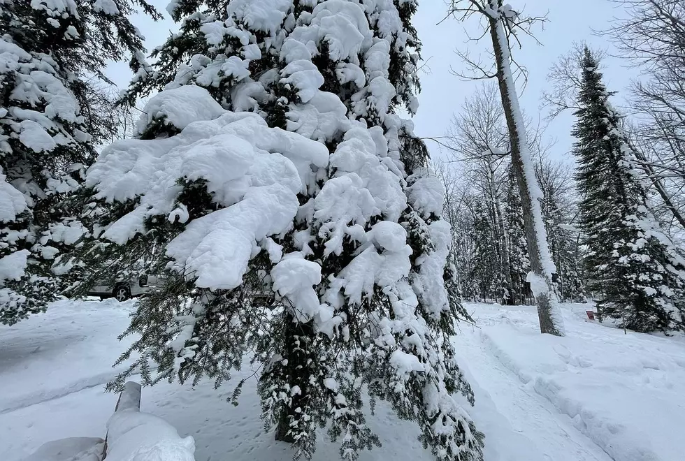 Goodbye El Nino Here Comes La Nina in Minnesota