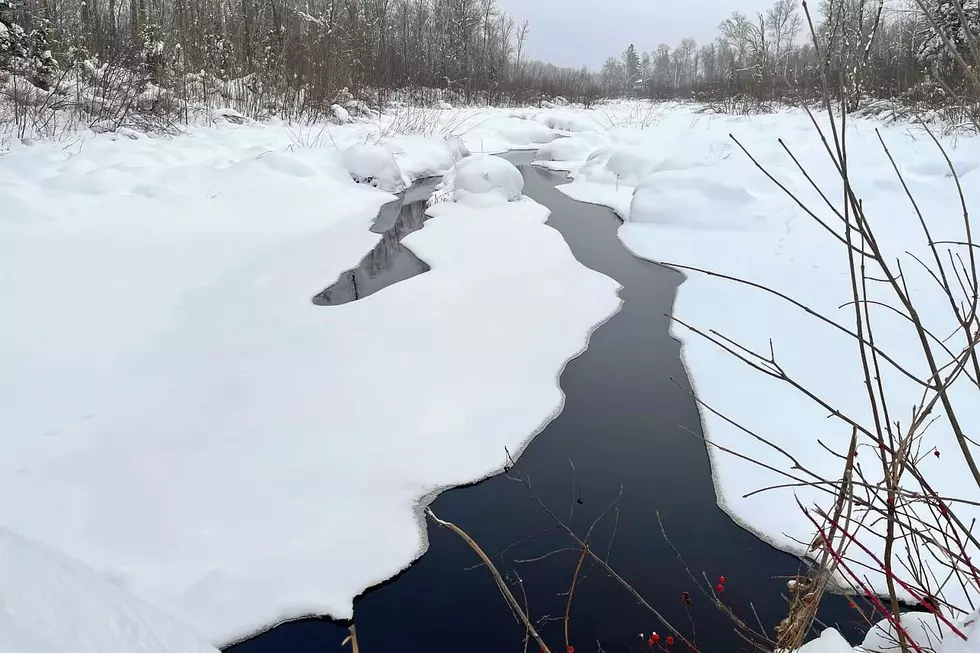 Weather Outlook for January in Minnesota