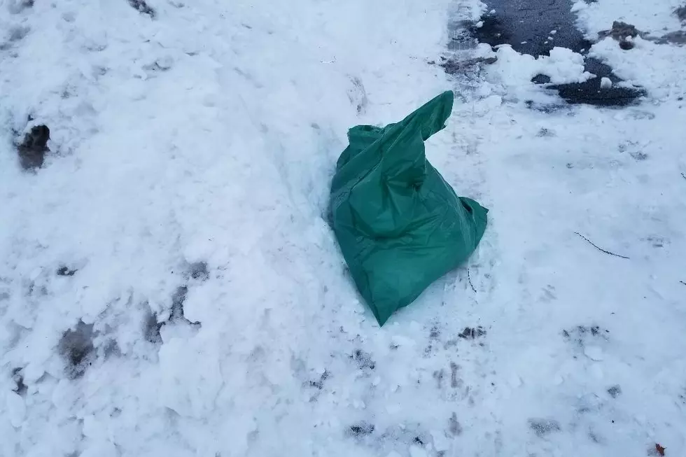 Handling Garbage/Recycling in St. Cloud Due to Snow