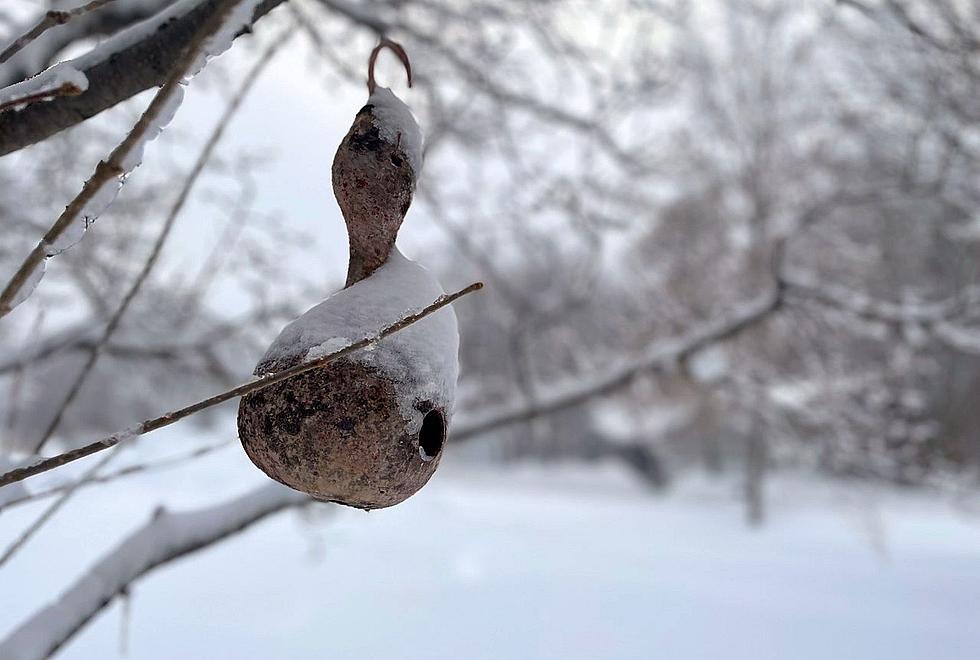 Winter Storm, Weather Advisories Remain in Northwestern Minnesota