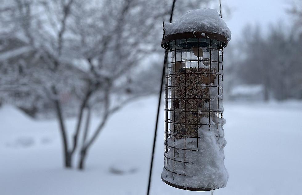 Latest Snowfall Update Thursday, Weekend in Minnesota