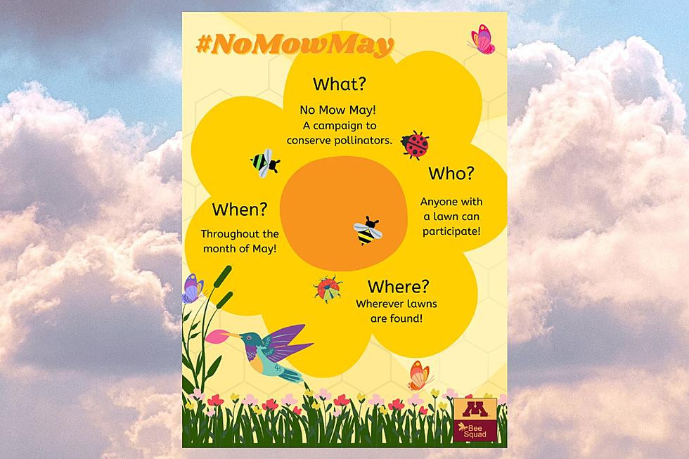 Monticello Approves ‘No Mow May’.