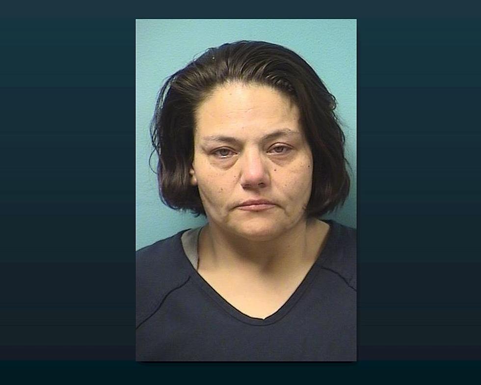 North Dakota Woman Accused Of Burning Down Stearns County House 1388