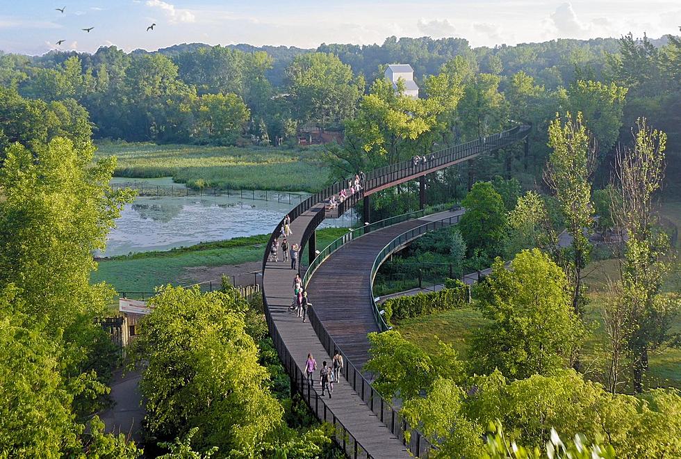 New Treetop Trail at Minnesota Zoo has a Shocking Issue