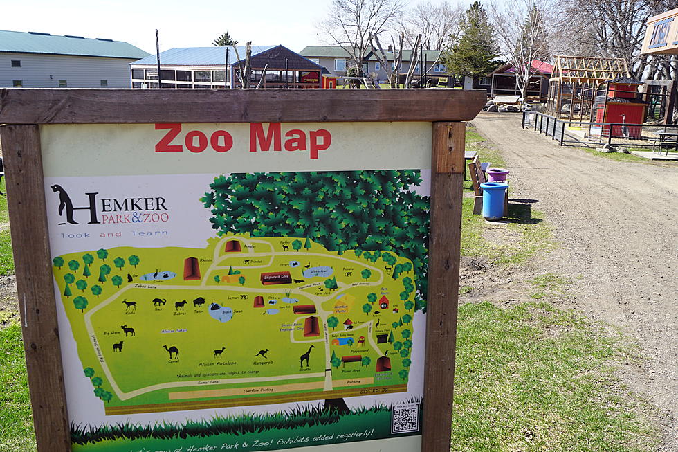 Several New Attractions On Display at Hemker Park and Zoo