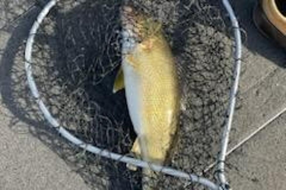 Schmitt: How to Find Walleye On the Opener