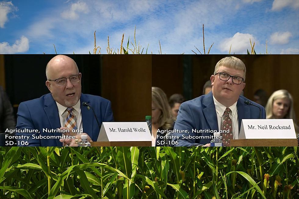MN Farmers in Washington to Testify for Farm Bill
