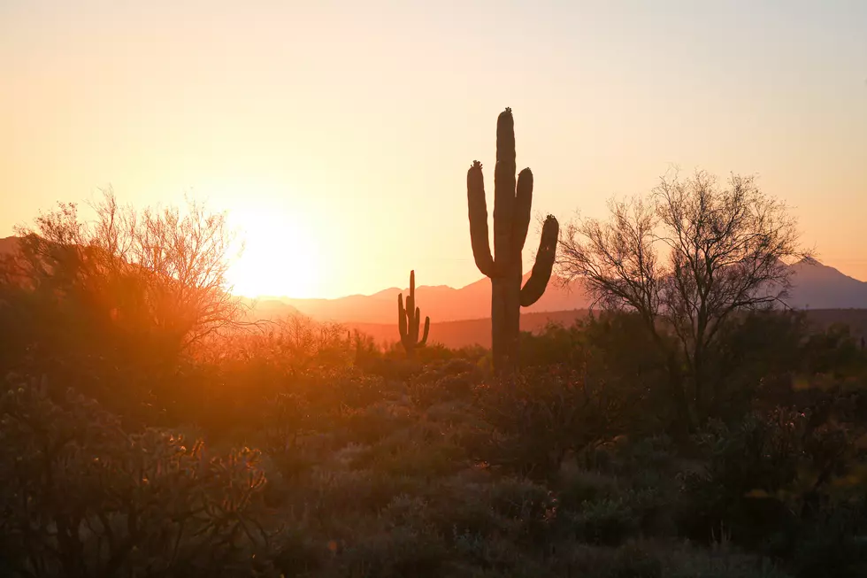 Photo by Joe Cook on Unsplash