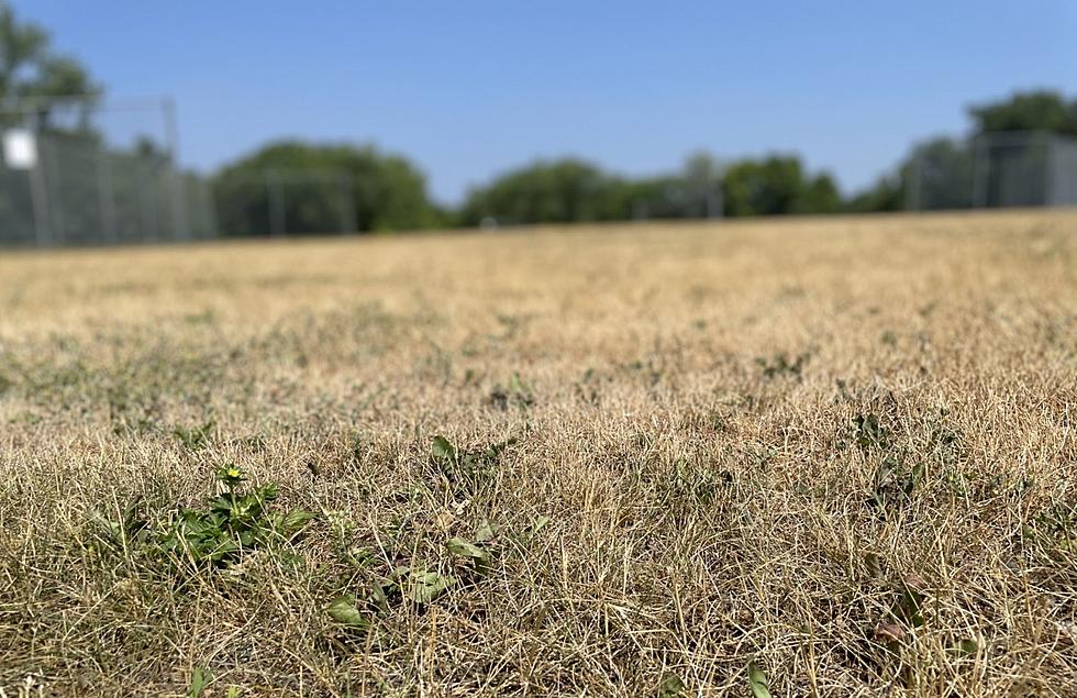 Minnesota’s Drought Conditions Get Worse Again