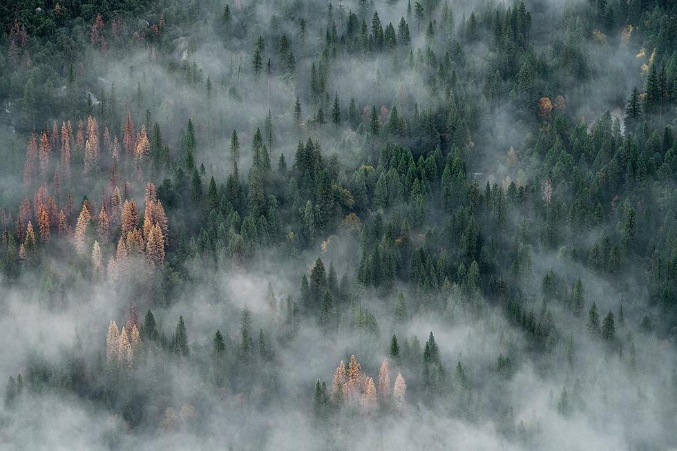 Wildfire Reported In Boundary Waters Canoe Area