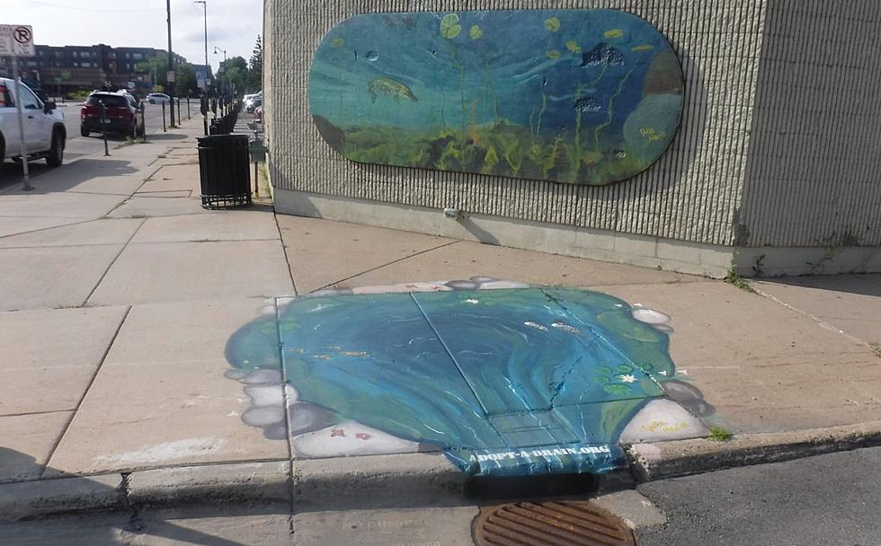 Storm Drain Art Program Adding 4 New Murals in St. Cloud